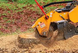 Lawn Edging in Ambler, PA